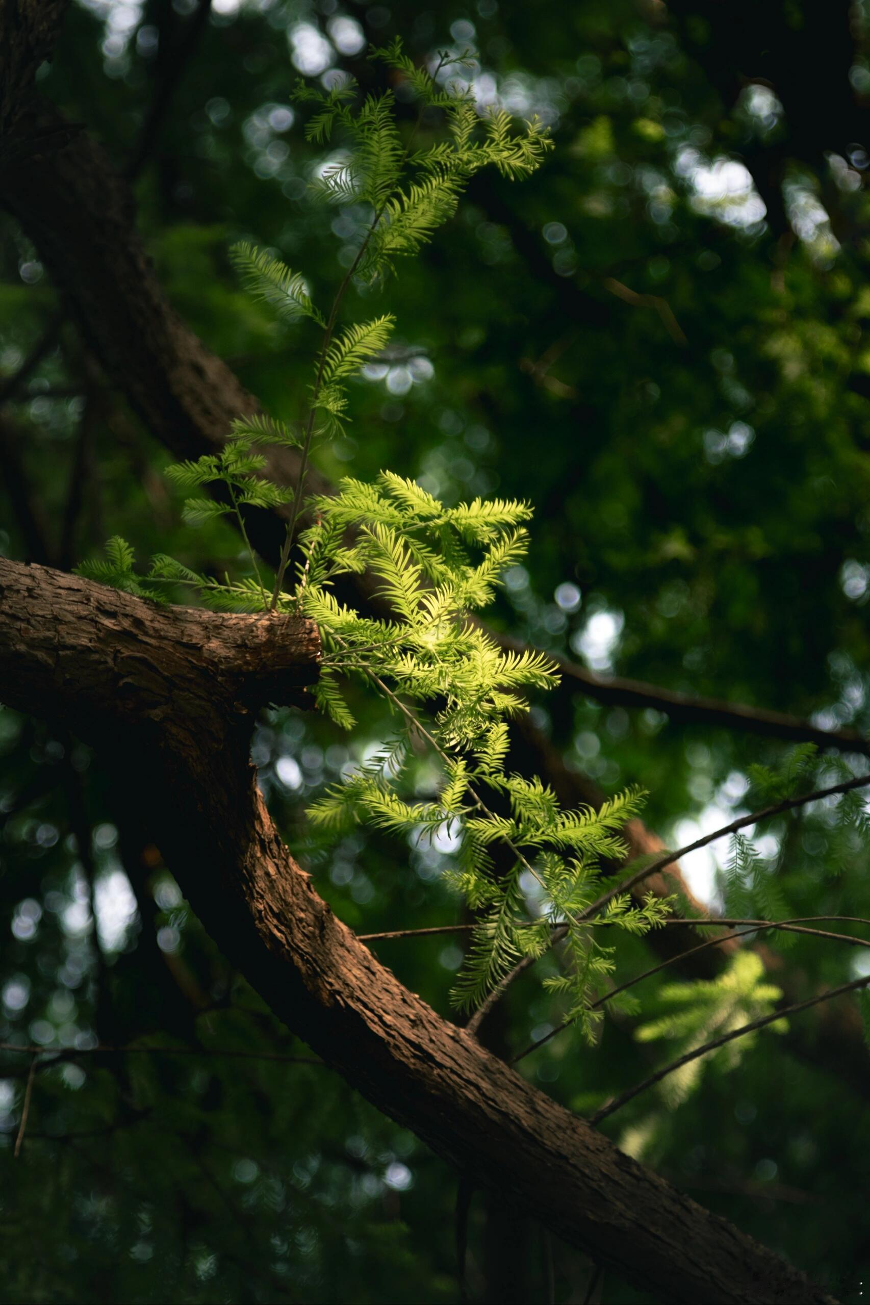 真正能给你撑腰的，是丰富的知识储备，足够的经济基础，持续的情绪稳定，可控的生活节