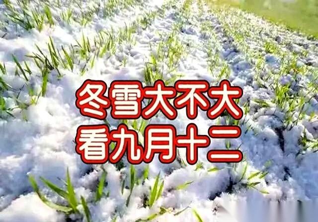 老辈人说，今天啥天儿，就定了今年冬天的雪有多大。
农历九月十二。
我刚伸头出去看