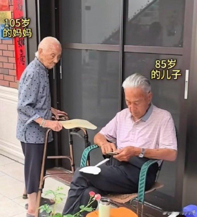105岁老妈说85岁儿子这辈子完了真羡慕啊，这长寿基因 