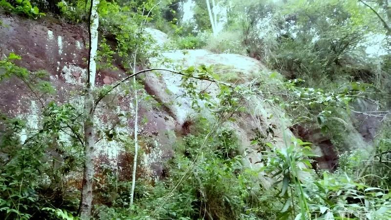 八旬老人坠崖 干部群众合力营救

“感谢大家全力相助，救了我母亲的命！”近日，屏