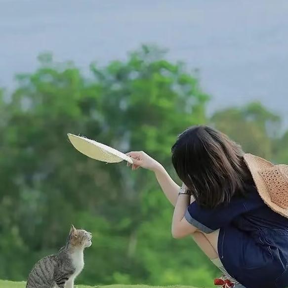 心软的女人，最容易被往死里伤
心软是病，情深致命。
在感情里，你越是轻易原谅，他