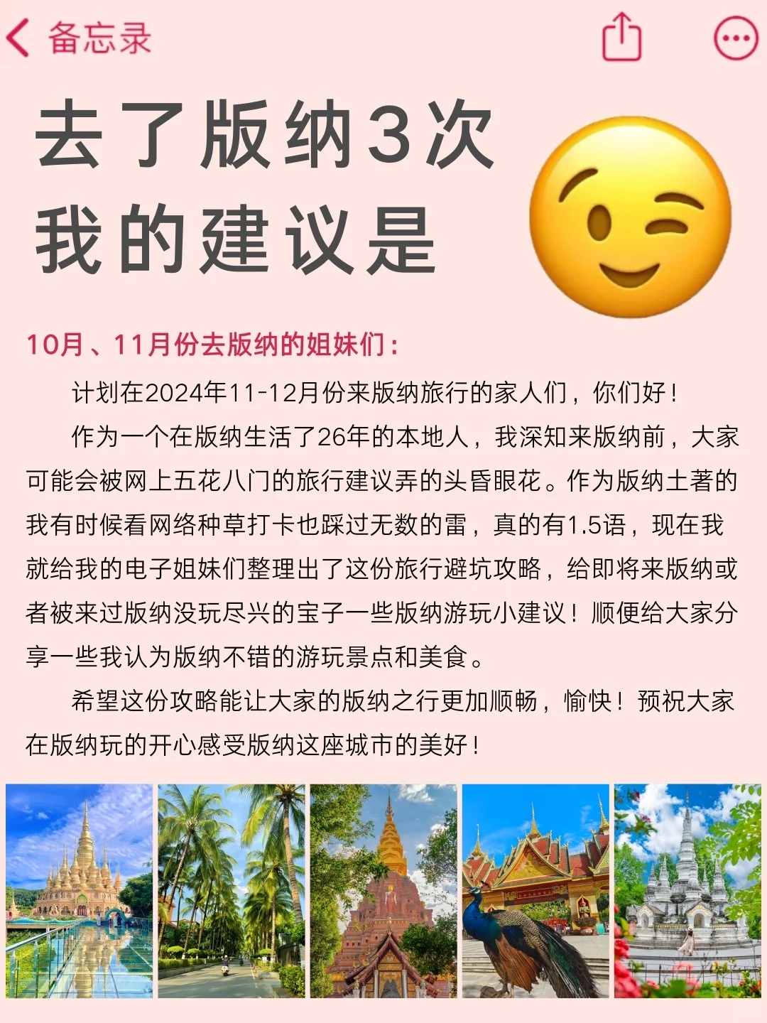 送給淡季来西双版纳旅游的姐妹👭认真看完