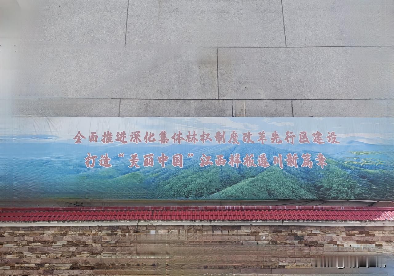 统筹推进林权制度改革与国家储备林建设💪
 
做好新时代林业高质量发展工作，关键