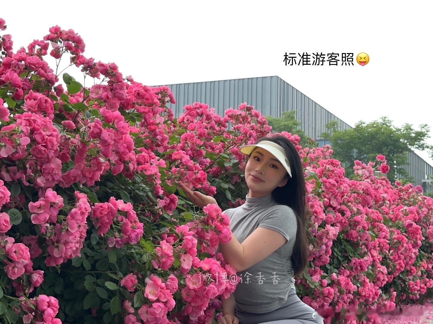 分享图片  ​​​