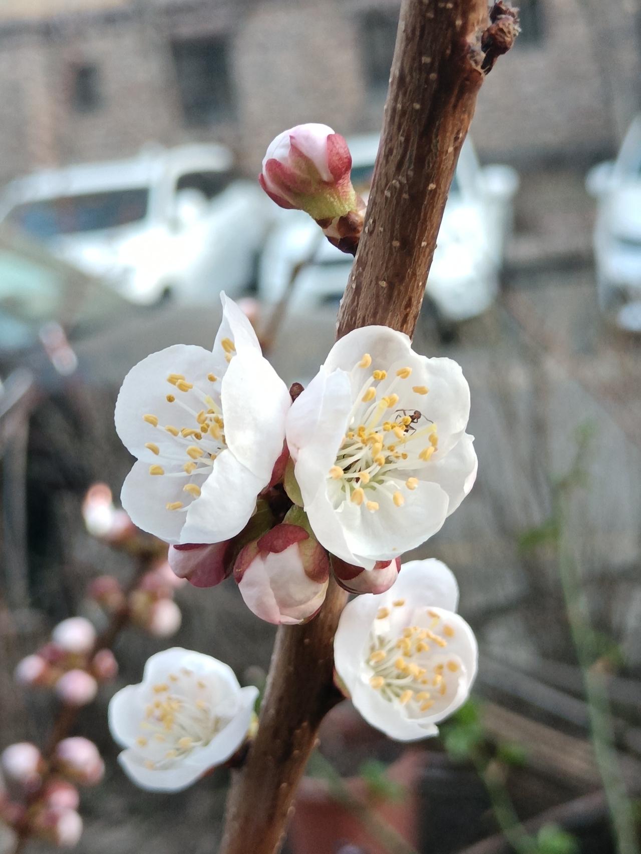 这种教育方法可取吗？
       昨天晚上我在小区碰见一个妈妈在单元门前大声地