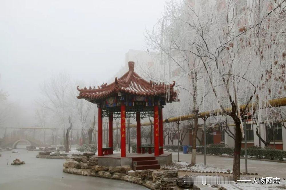 冬日生活打卡季