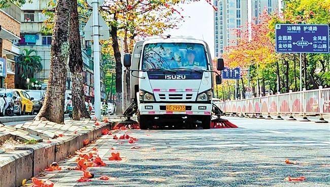 【鮀城街头上演木棉“清扫攻坚战”】近期，市区金湖路、龙眼北路等主干道的木棉花迎来