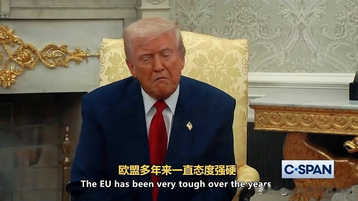 疯了！
特朗普对欧洲
挥起关税屠刀，25%重税说加就加，盟友全成了出气筒
 
一
