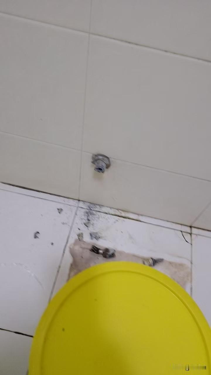 本来打算给坐便换个法兰，顺手把墙上的三角阀也一起换了，想着都是小活儿，自己动手还