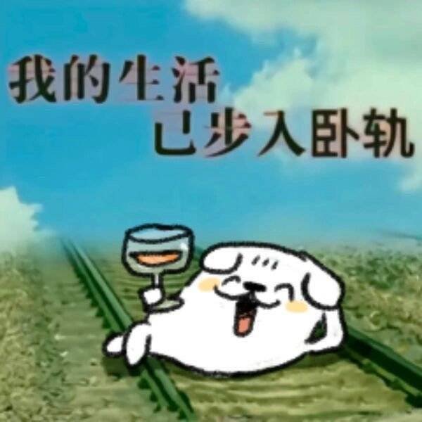 对于我不懂或者不了解的人和事情，我特别容易相信，多年前有个朋友和我说，他的头发是