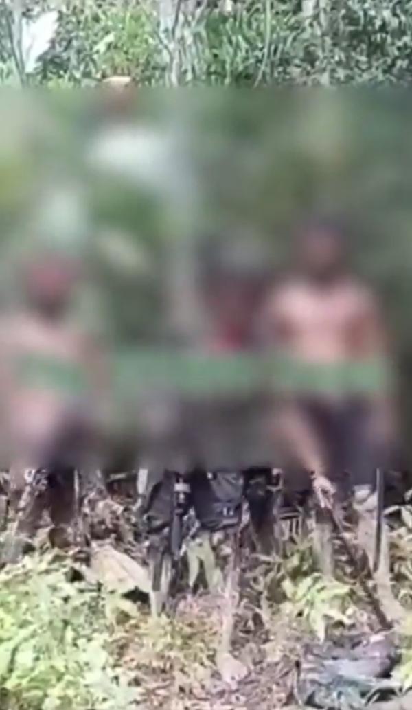 印度尼西亚：一名印尼士兵（ TNI ）在西巴布亚省迈布拉特防区东艾法特被蛇咬伤身