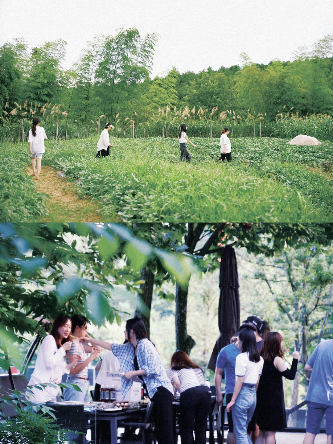 杭州2h包栋轰趴选这家！溯溪玩水+滑梯泳池