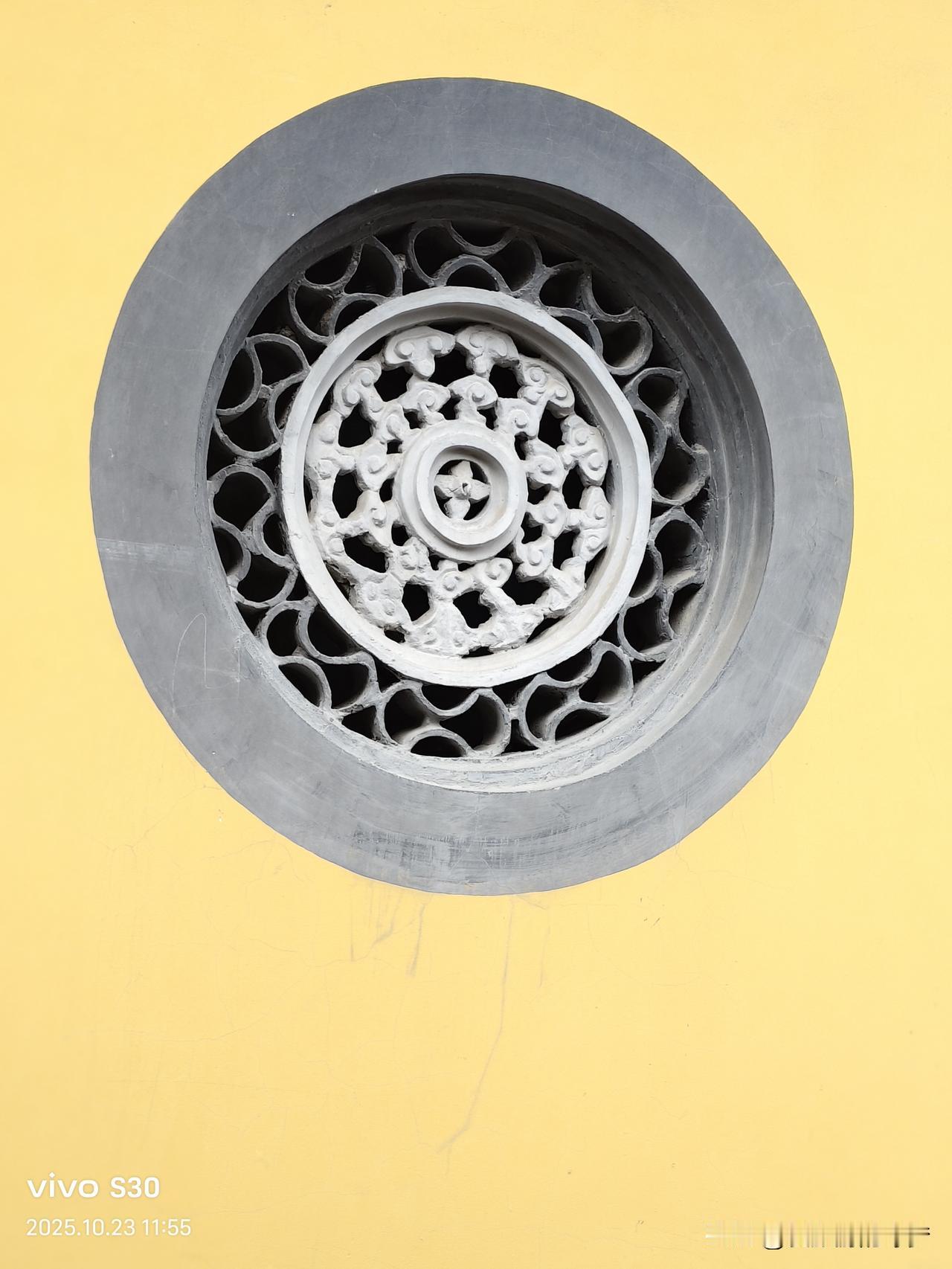 冬日生活打卡季