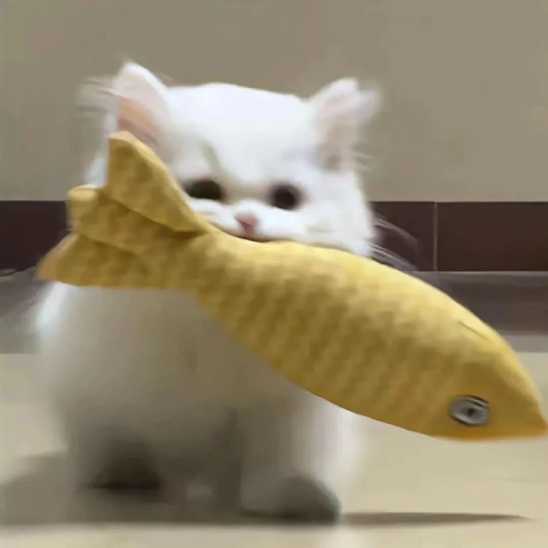哒哒哒哒 ​​​