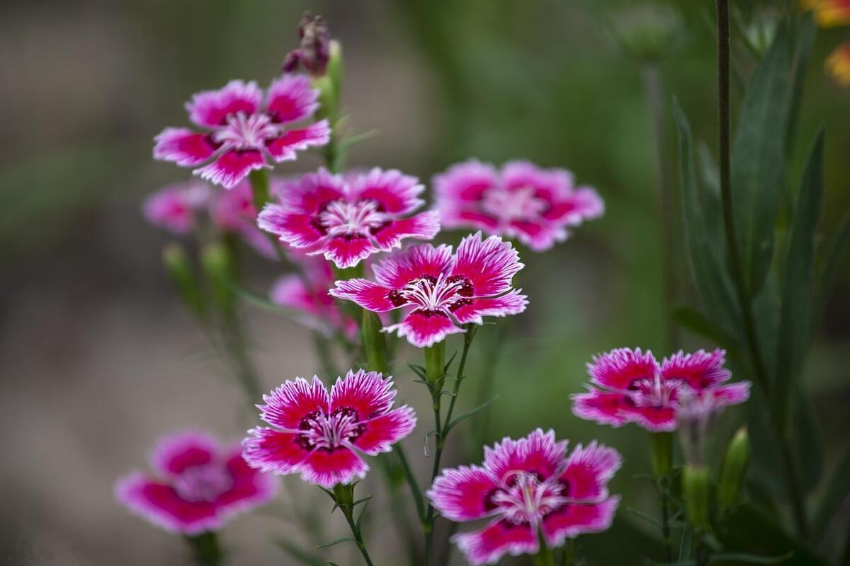 未来三年，家里尽可能常备这22种物资

1、第一种：啤酒——越喝越赚钱。

2、