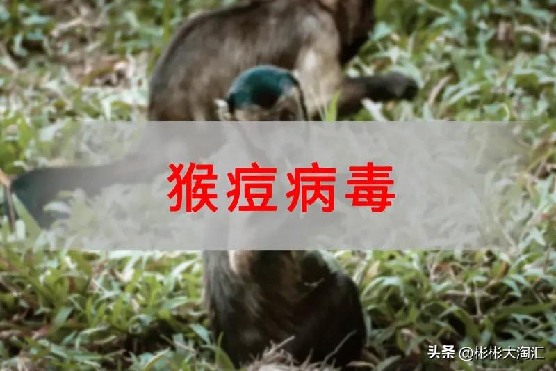 如果被猴子抓伤了需要打什么疫苗? 如果被猴子抓伤，可得重视起来。首先要马上用肥皂