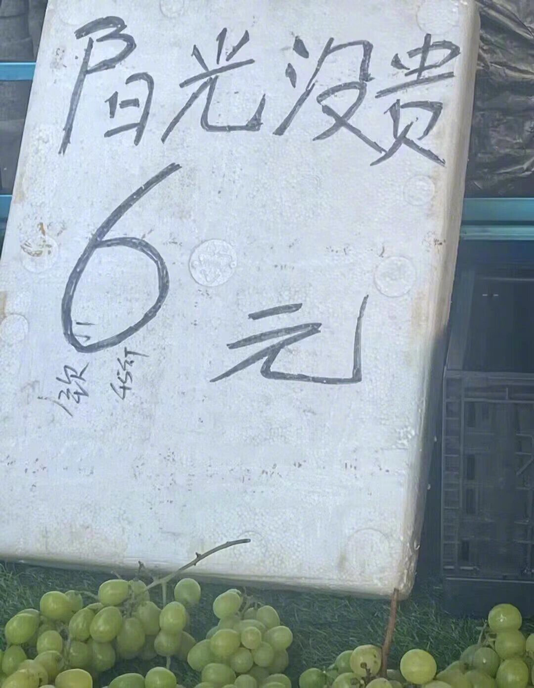 #龙年造梗大赛# 谐音梗迟早占领全世界，快要被市场上的标签笑死了，哈哈哈哈哈！ 