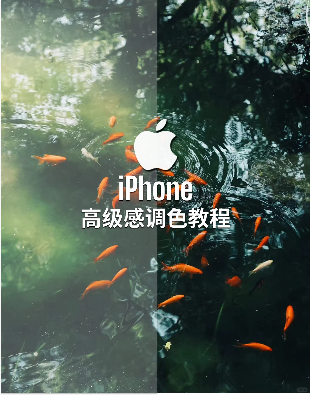 iPhone如何打造出电影质感调色？（附教程拍摄园林、湖水的时候发白发灰？不要紧