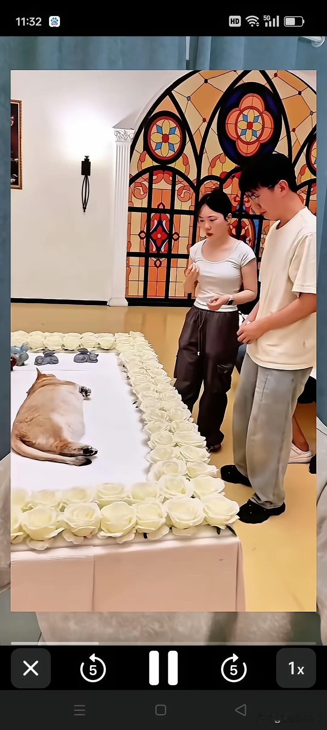 看到有人花费15万为宠物狗举办葬礼，亲戚朋友还满脸悲戚，着实令人大跌眼镜。此事发