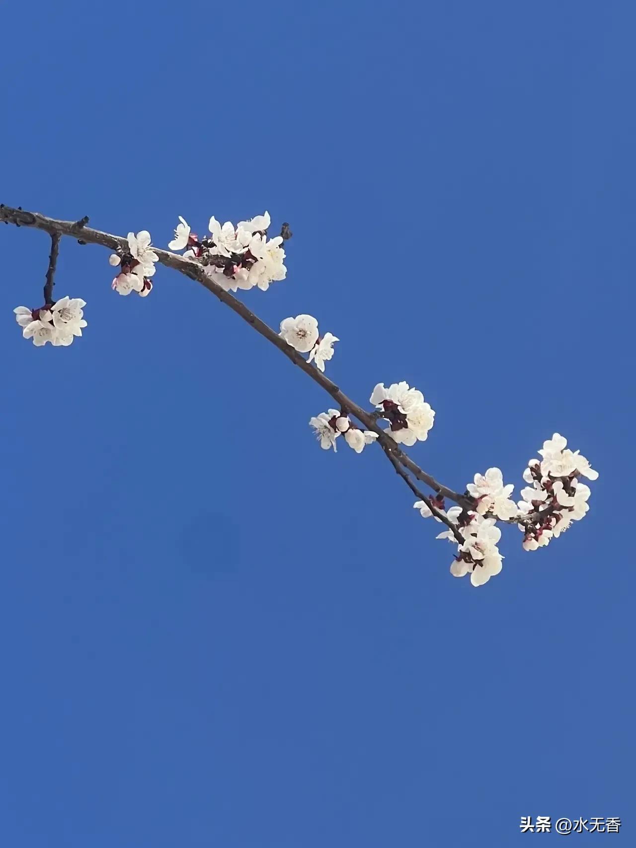 一位首富说：
一切生理问题，都是经济问题；一切感情问题，都是经济问题；一切情绪问