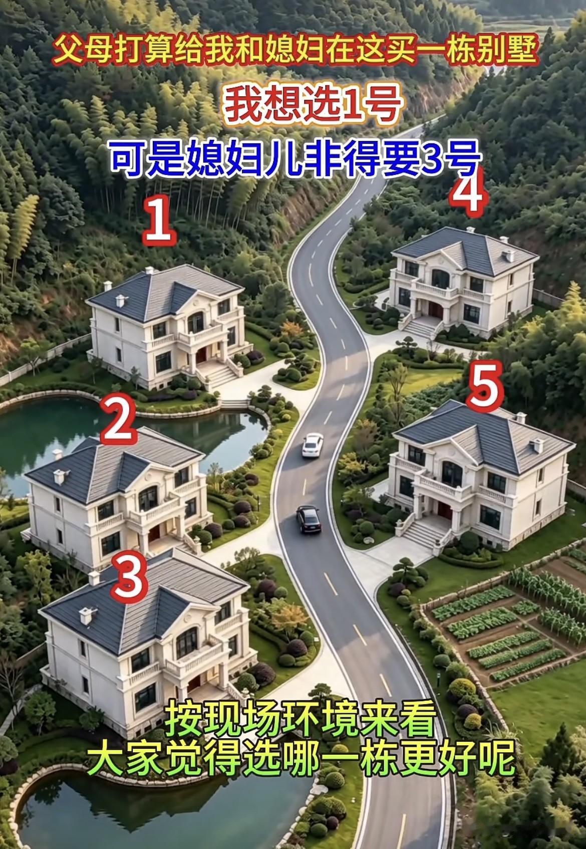 父母打算给我和媳妇在这买
一栋别墅🏡，我想选1号，
可是媳姐儿非得要3号。
按