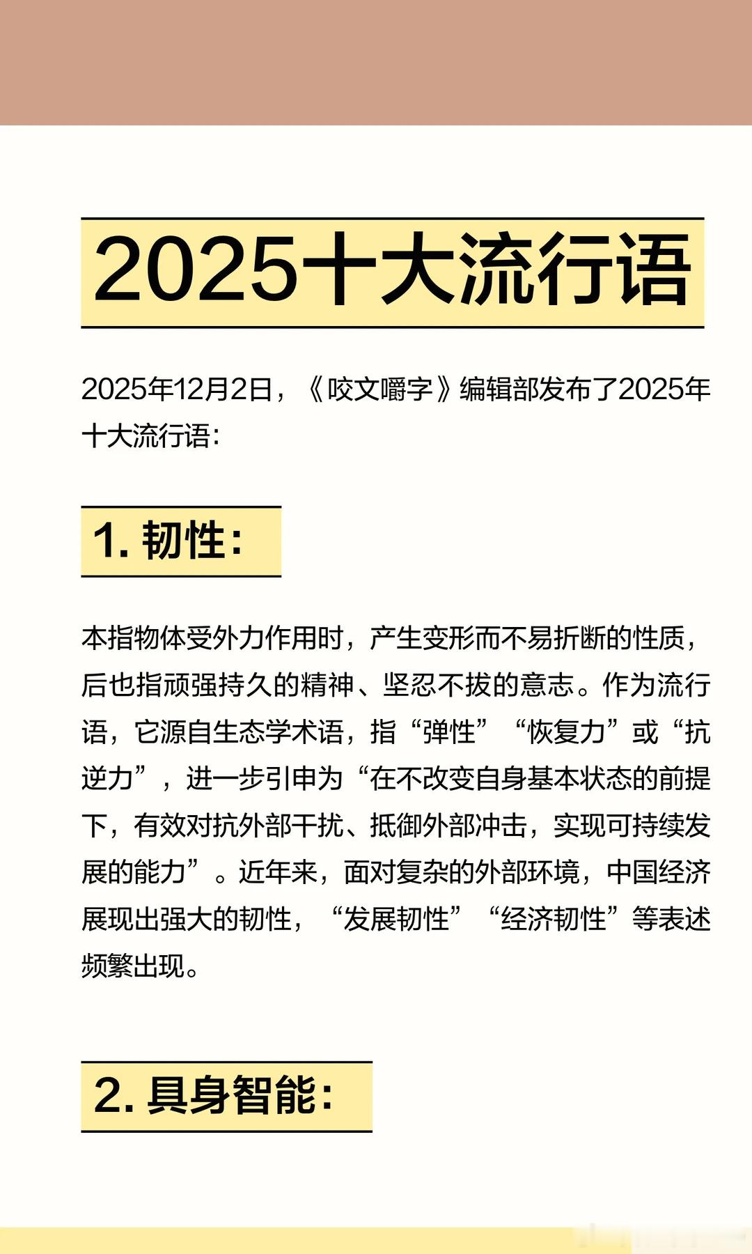 新华出版社2025年度照出炉 2025年的流行语如同一部社会心态的微缩史诗——既