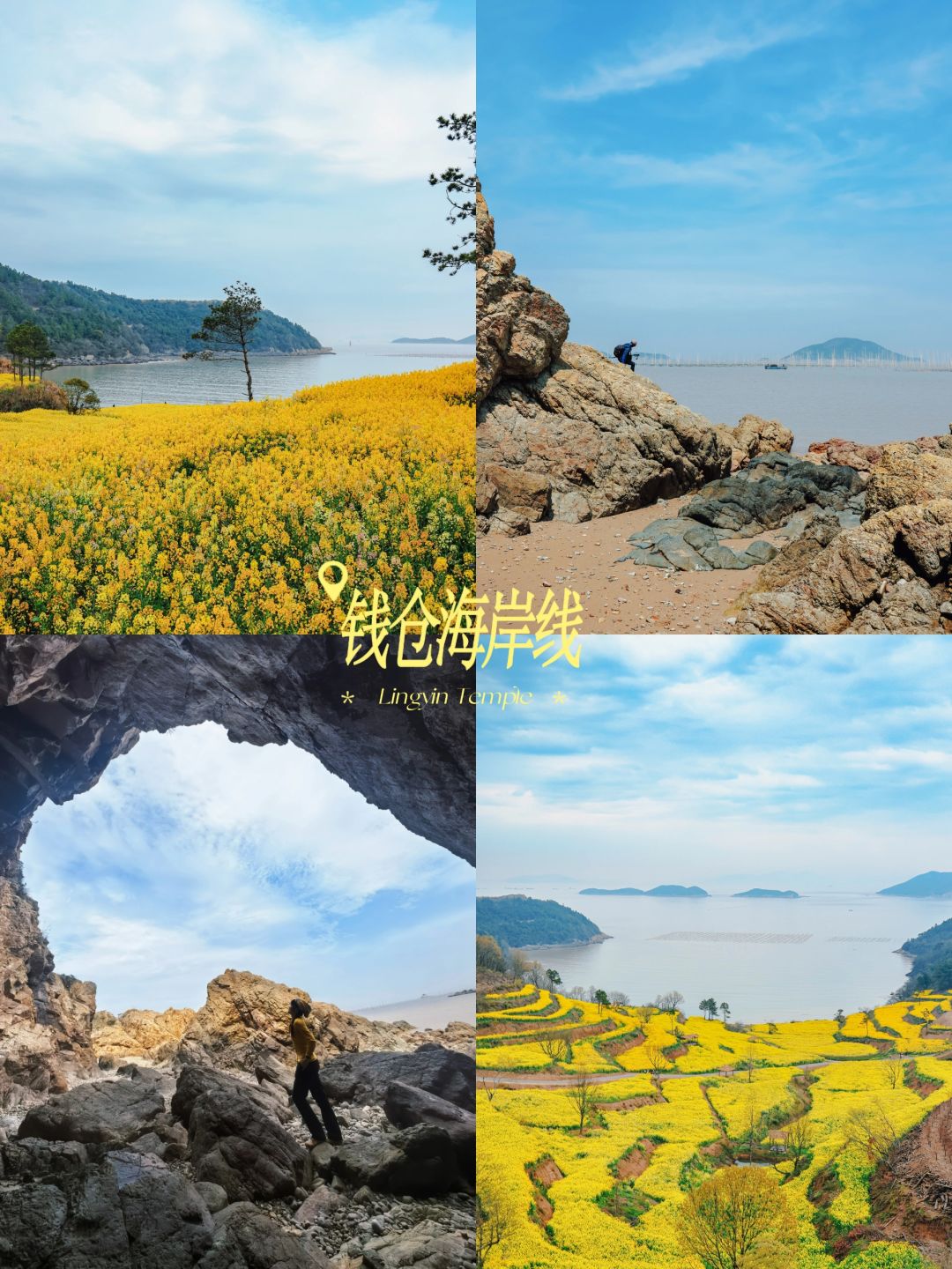 宁波人自己的“麦理浩径”油菜花海岸线徒步