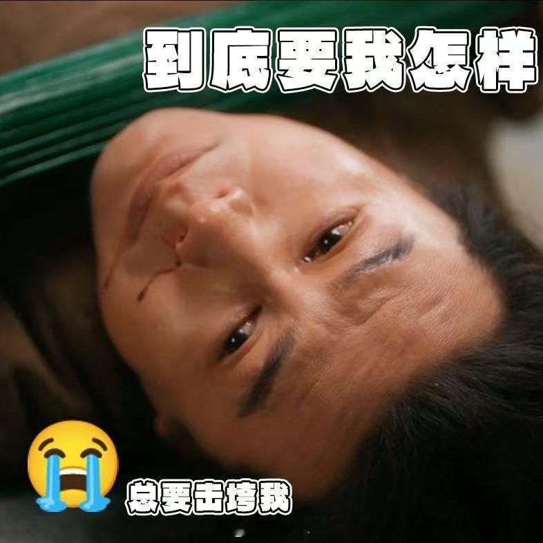 张颂文 会哭  果然可以永远相信张颂文给我们带来的角色，他还真把赵不尤给演的很鲜