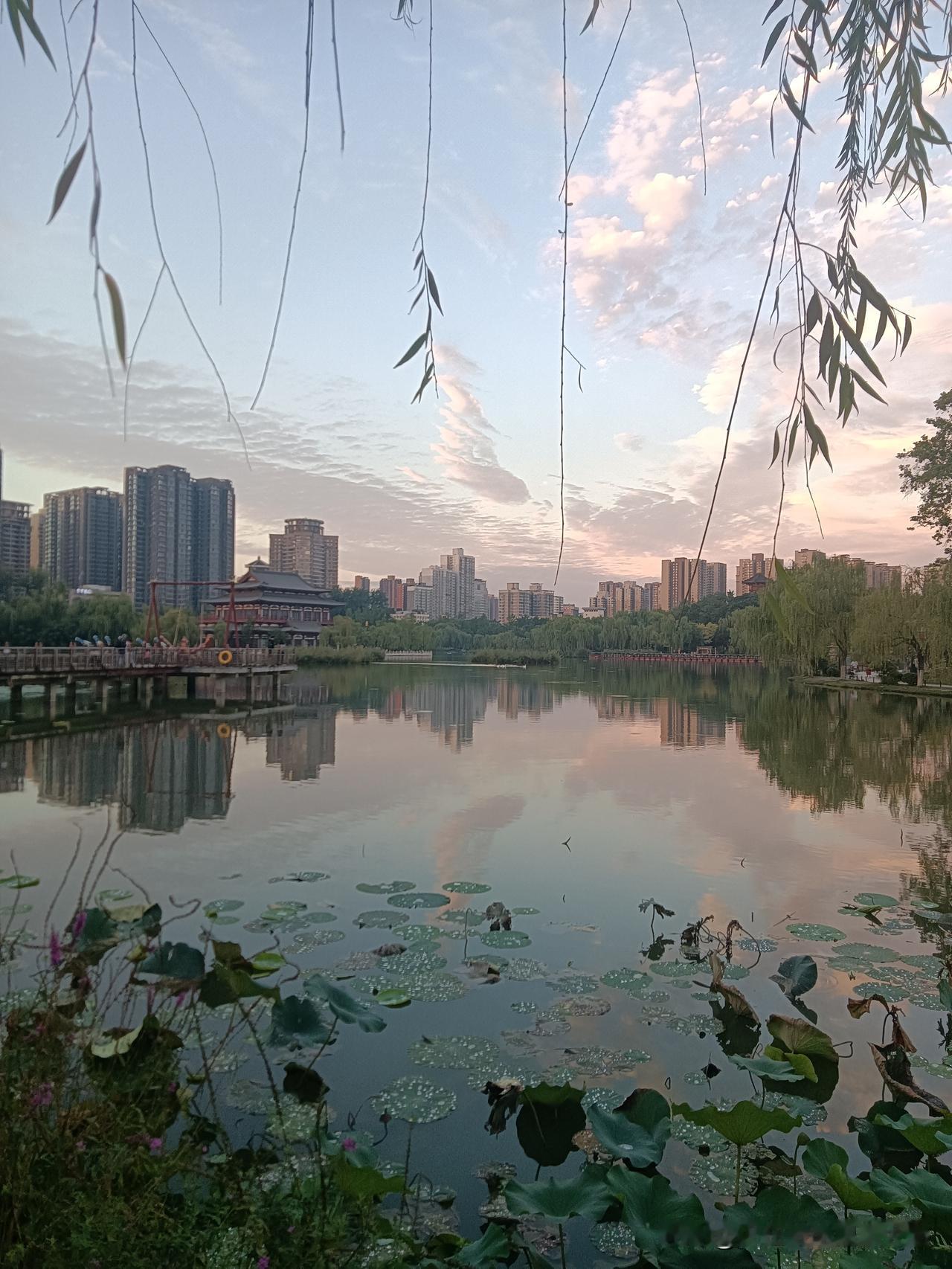 今天晚饭后去兴庆宫公园遛达，雨后，公园天穹上的晚霞云彩美的令人心旷神怡！谁看到了