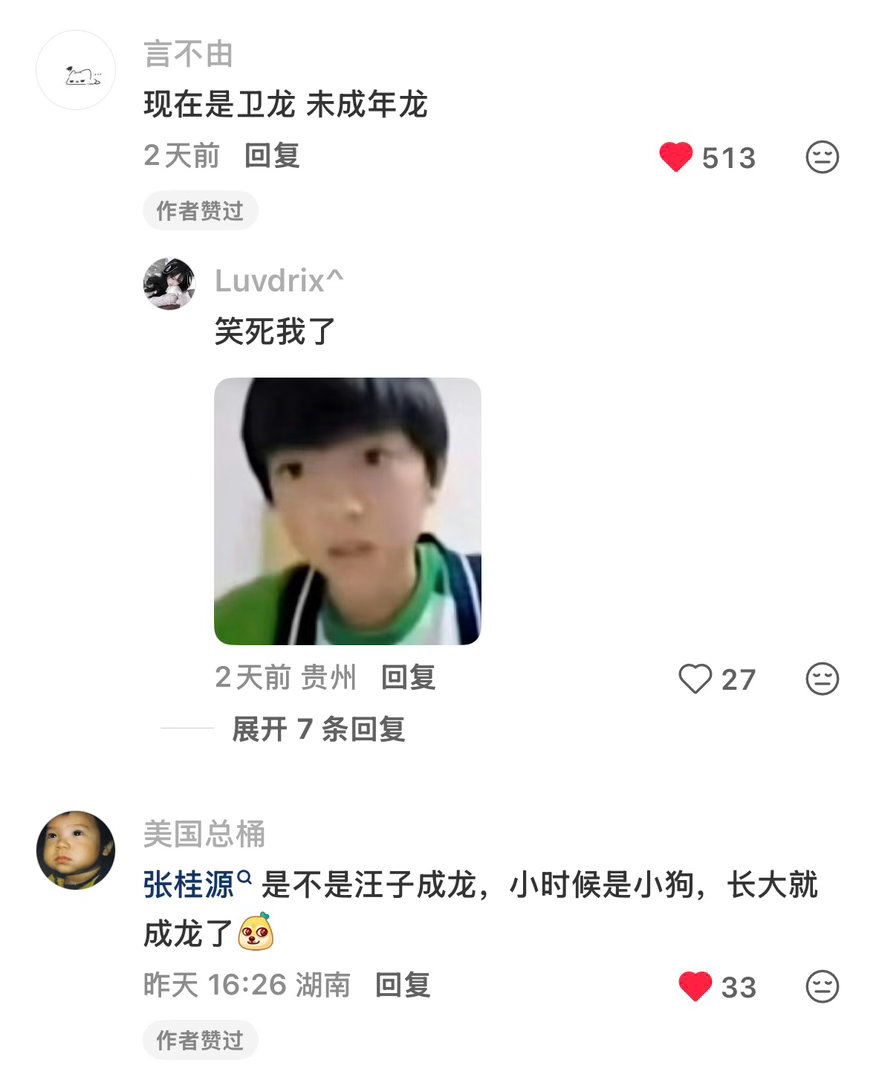 噗哈哈哈哈哈成年之后是成龙：小时候是奶龙：龙龙梦女是梦龙：现在是卫龙 未成年龙 