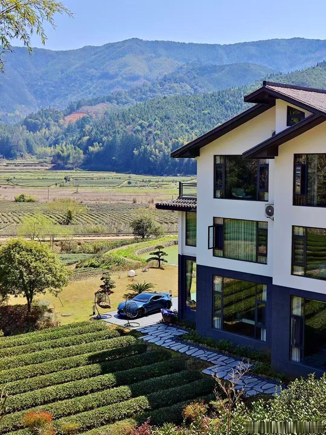 跟朋友承包了二十亩茶，地点武夷山。有懂行的，指点指点。 
