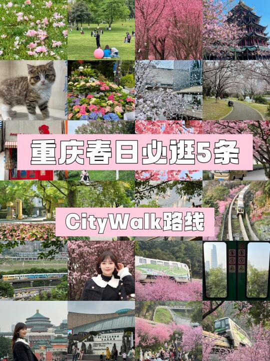 重庆春日必逛的5条citywalk路线（附地图🗺️）