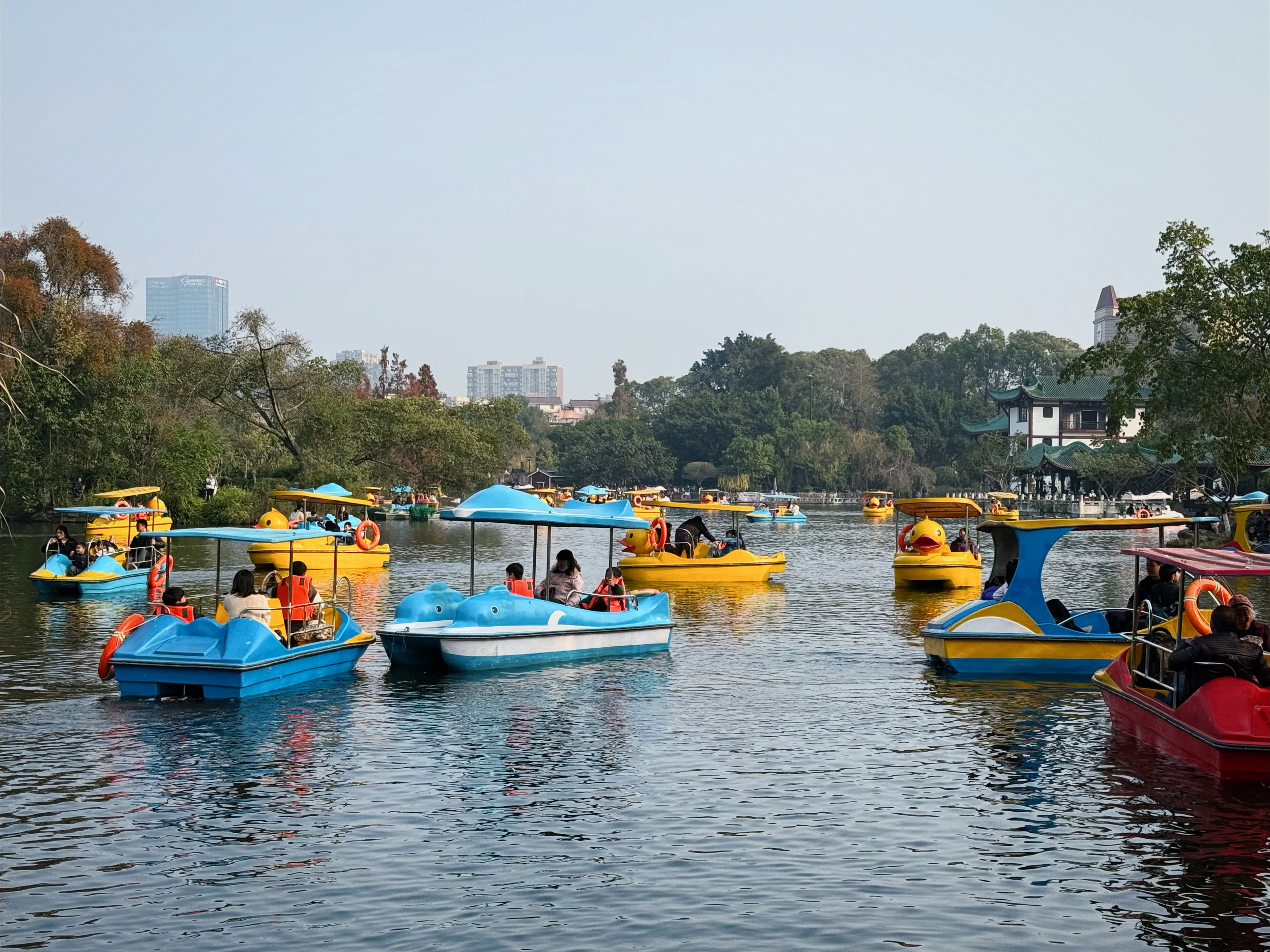 成都桂湖公园太适合cityboat了  最近电影《小小的我》成都取景地新都桂湖公