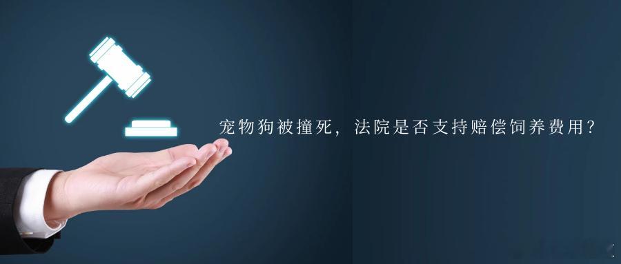 宠物狗被撞死，法院是否支持赔偿饲养费用？宠物犬在小区自家车库门前睡觉，被他人驾驶