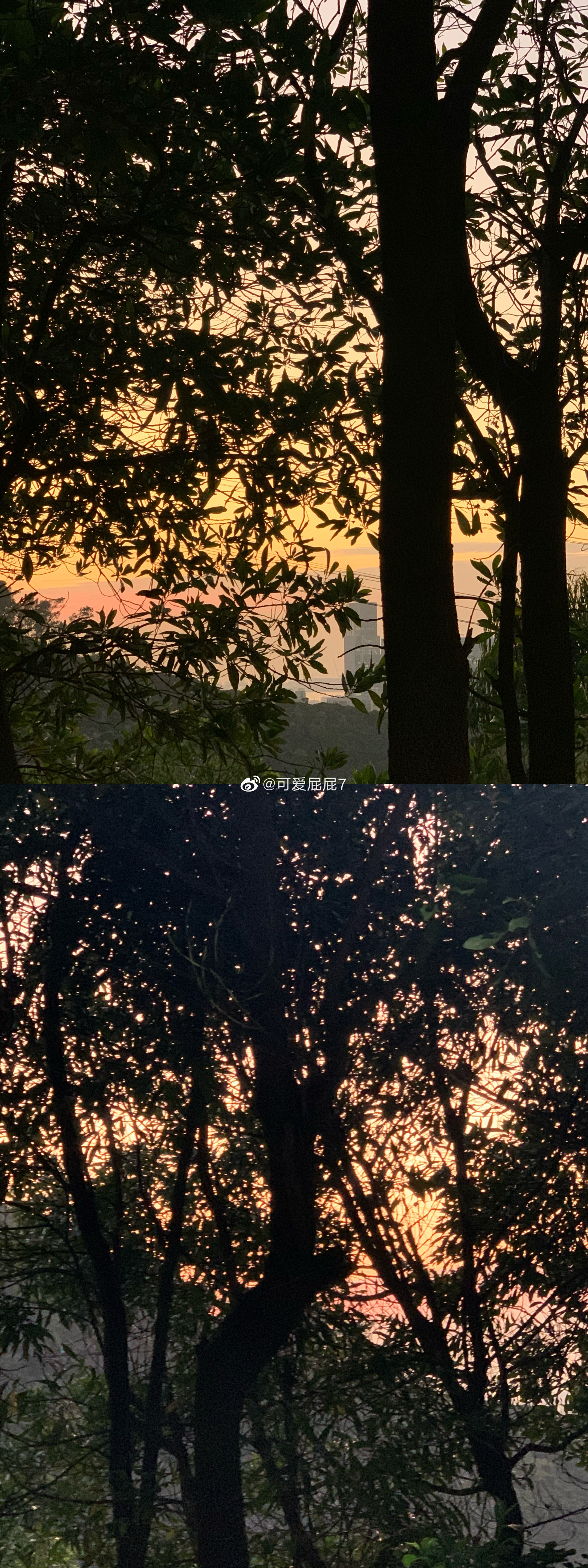 天气好好 去爬山了  ​​​