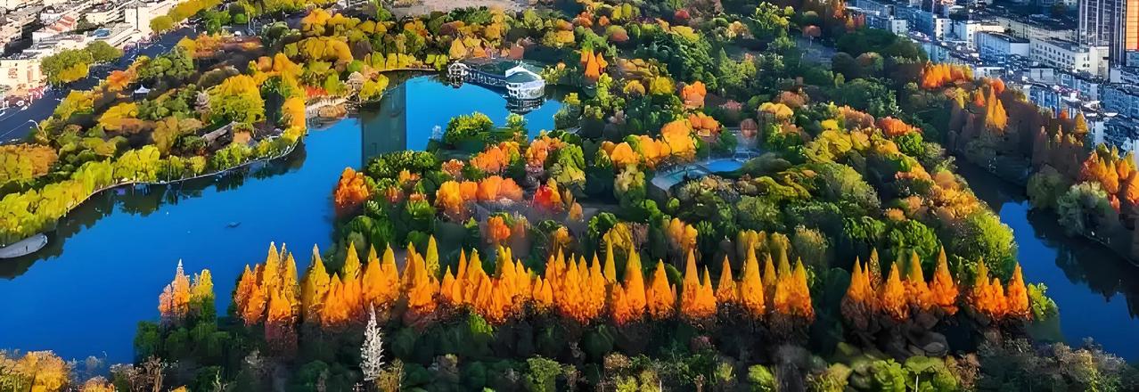 肥西设4个新街道半年，家门口的变化肉眼可见！以前的老大难问题，现在全解决了！
 