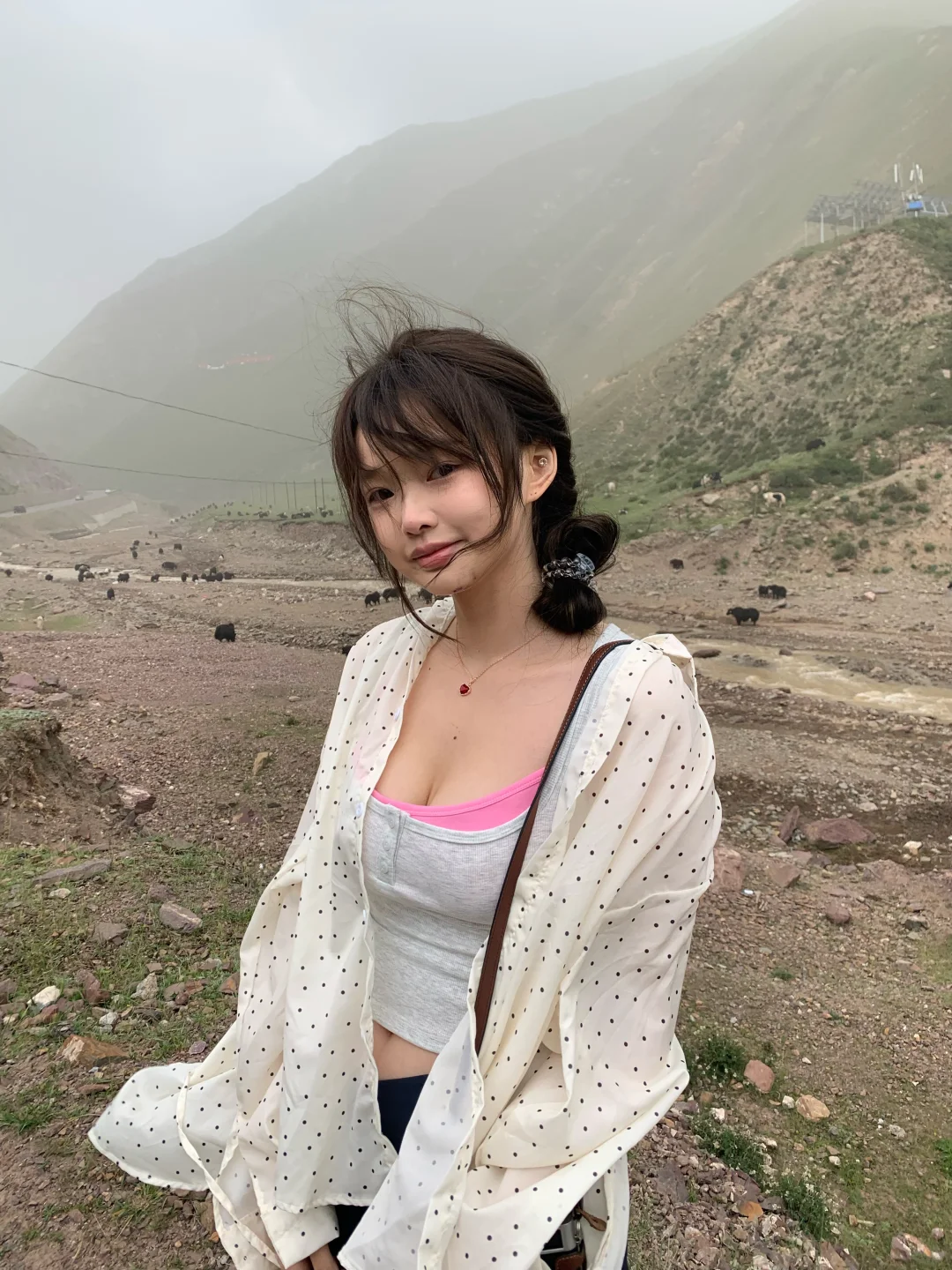 成群的🐃