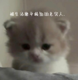 嘿！嘿！嘿！去签到啊～乖～  不许放到后天！今天周三哦！！不要忘记领福袋！！！！