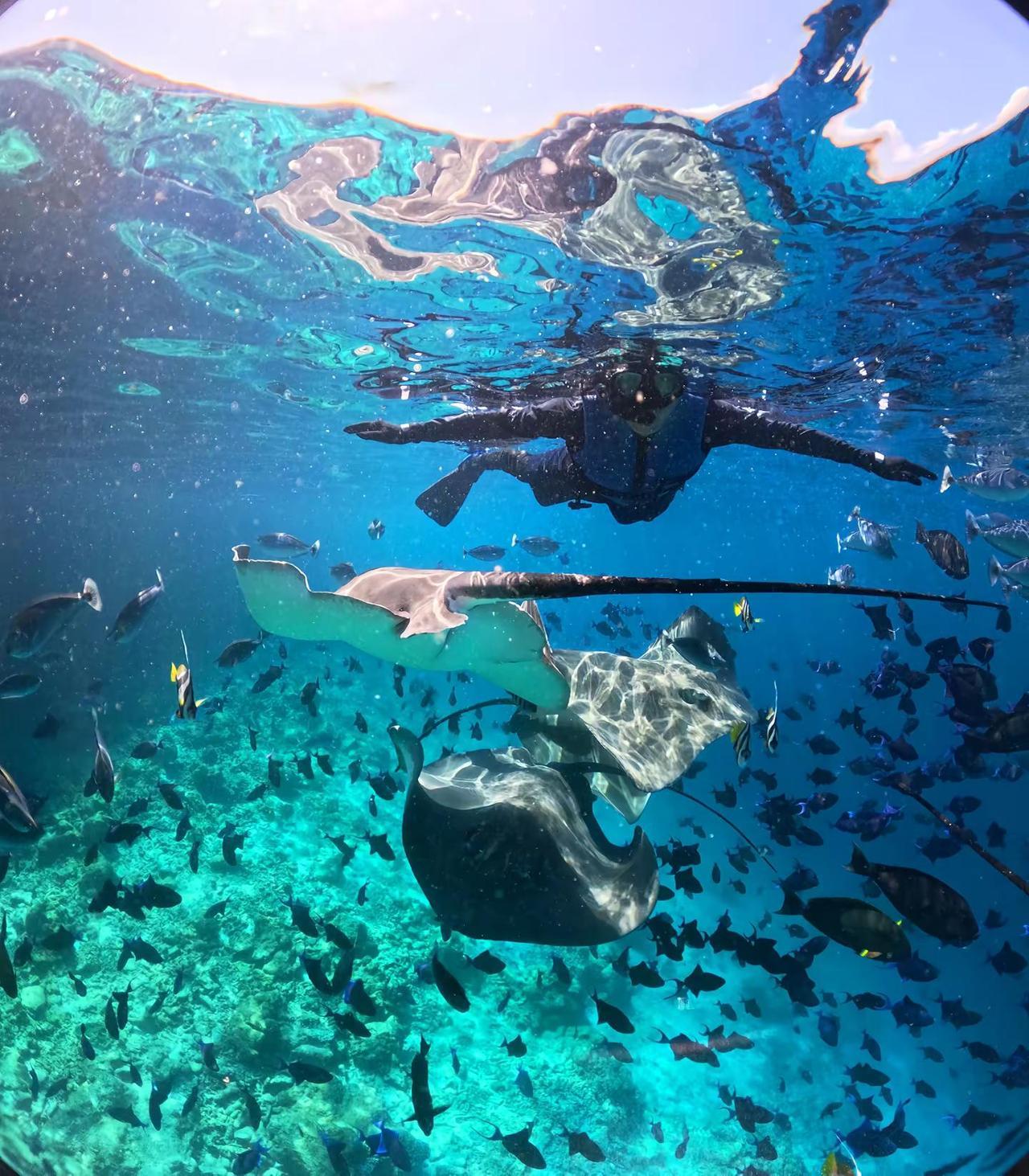 勇敢的人先享受世界。马尔代夫 旅游