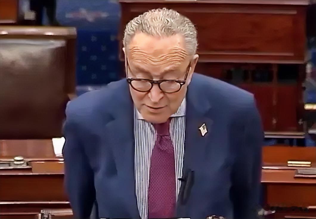 美参议院少数党领袖舒默将强行推动投票，寻求立法永久禁止特朗普的“小金库”及国税局