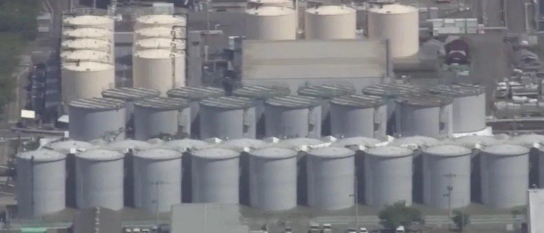 8月24日，日本一意孤行排放核污染废水后，我国即宣布停止进口日本的海产品。日本经