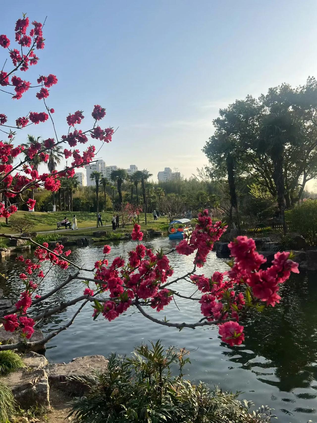 春游湖
          徐俯

双飞燕子几时回？
夹岸桃花蘸水开。
春雨断桥