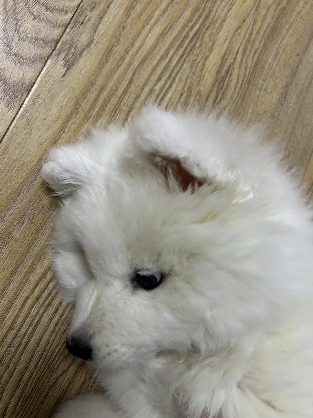 妈妈，你还会爱我吗？ （心如死灰脸）
