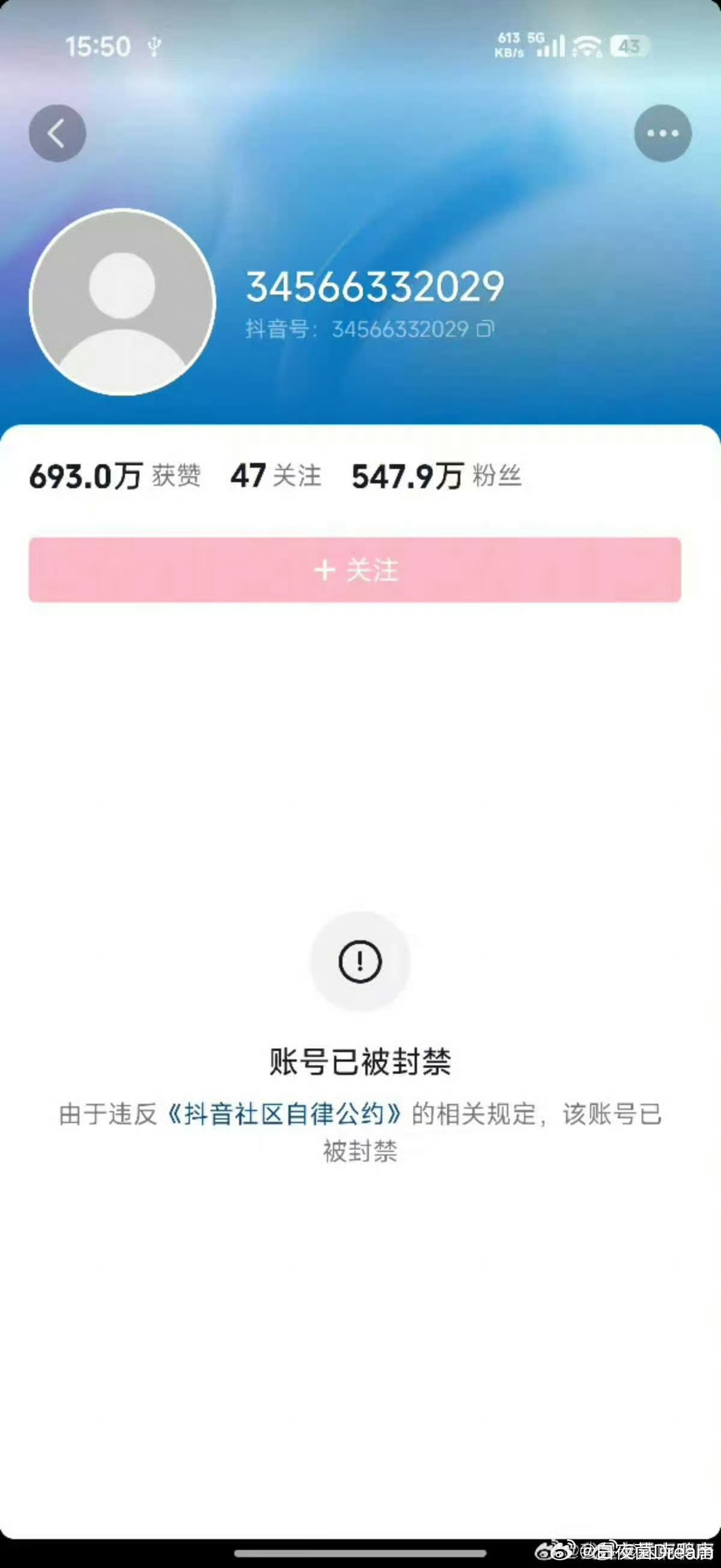 吃瓜蒙主 账号被封禁了 