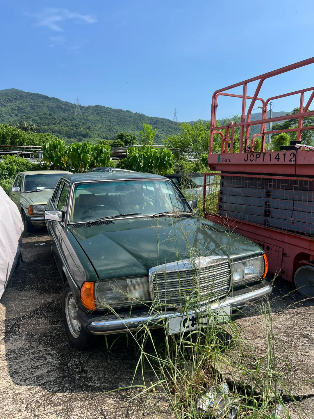 你会选择哪辆来复活？