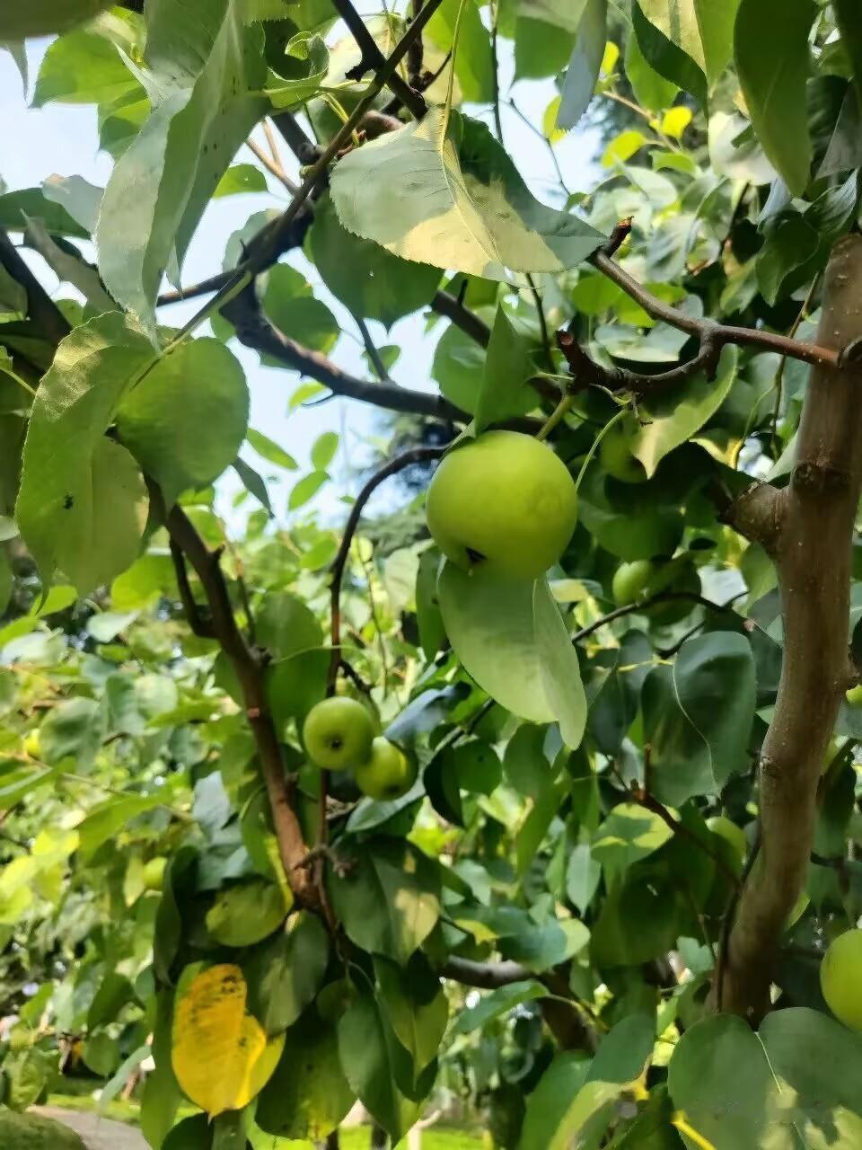        夏天，是一个充满活力与生机的季节，也是一个浪漫与唯美的季节。阳光、