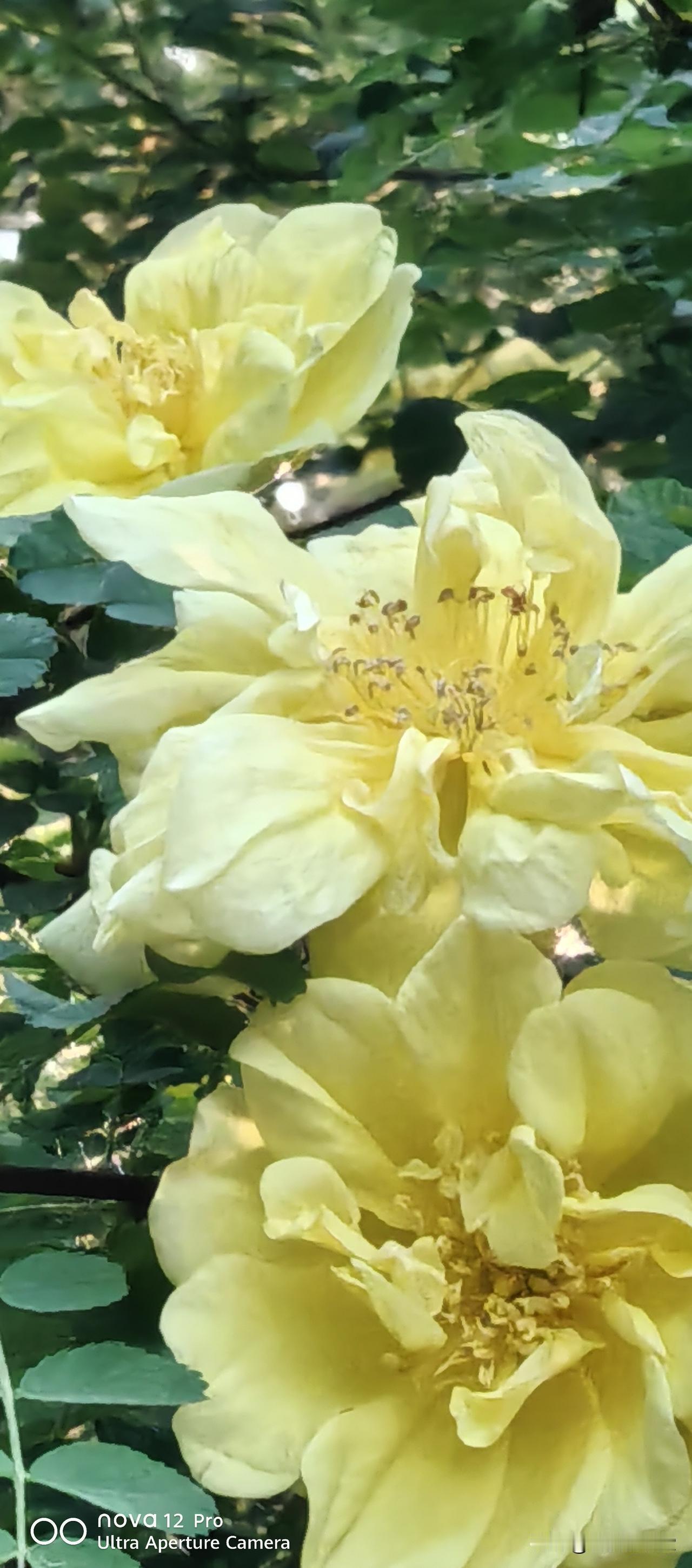 春日生活打卡季