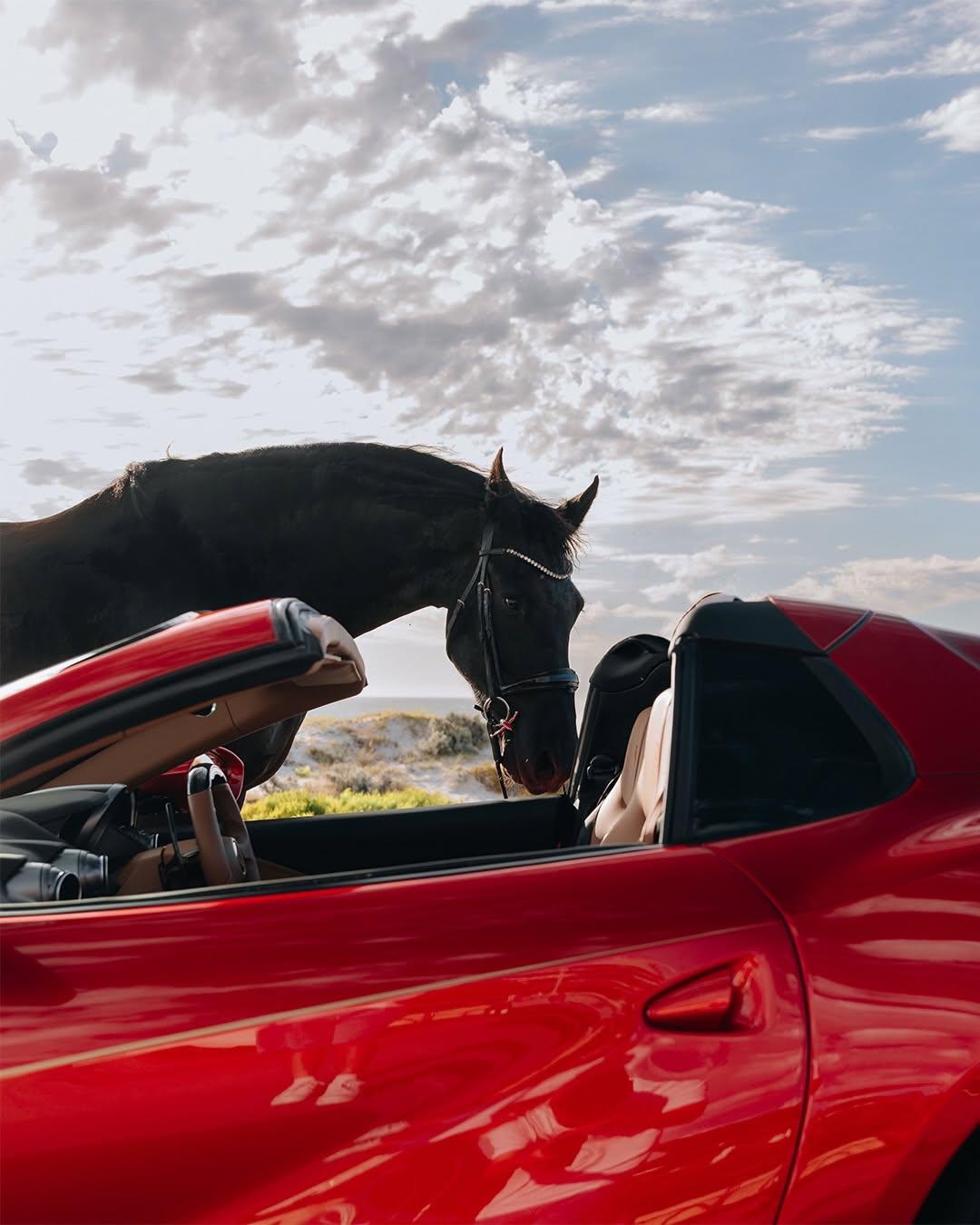 马年开马车，法拉利812 Superfast，F12berlinetta继任车型
