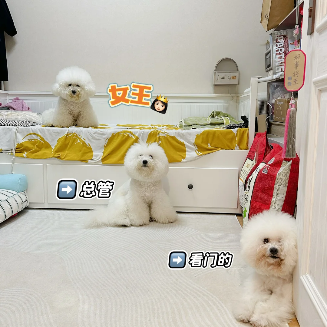 这自觉性一般家庭应该蛮少的～