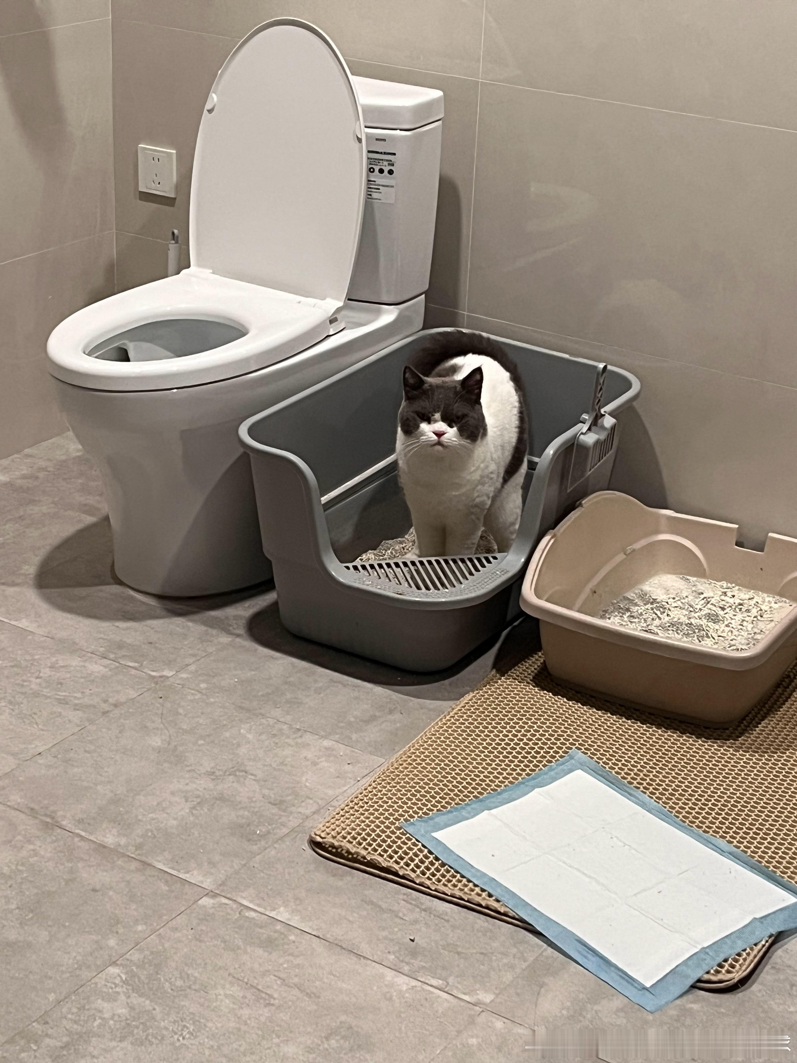 认真 用力 